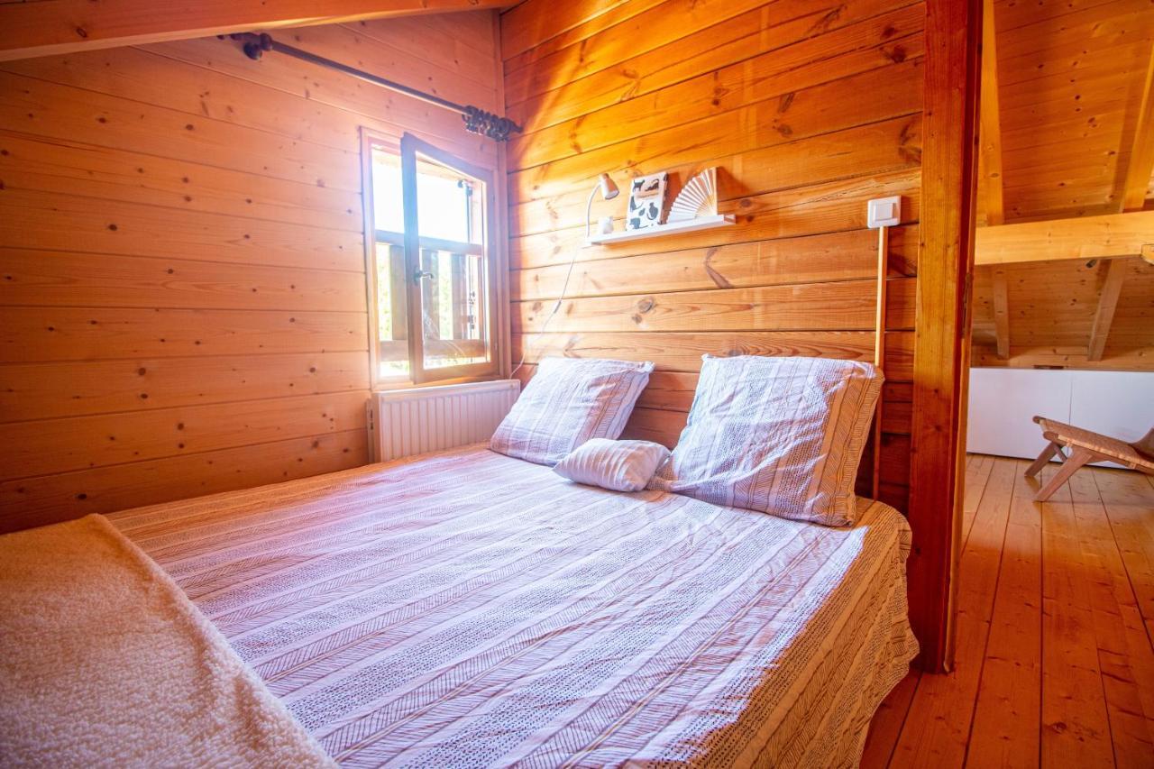 Chalet Du Bois Joli Saint-Laurent-en-Grandvaux エクステリア 写真