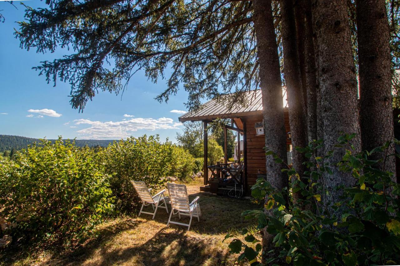 Chalet Du Bois Joli Saint-Laurent-en-Grandvaux エクステリア 写真
