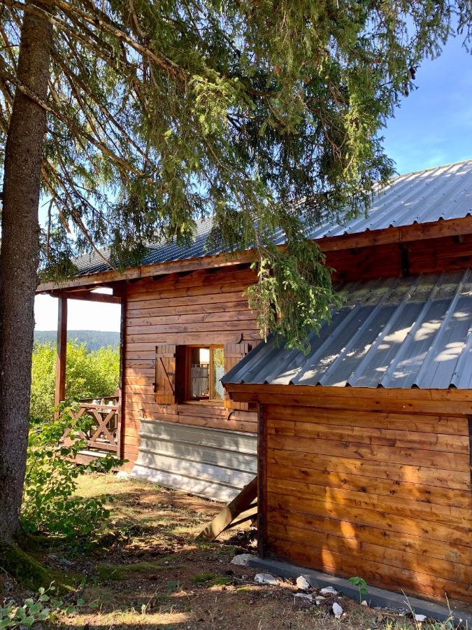 Chalet Du Bois Joli Saint-Laurent-en-Grandvaux エクステリア 写真