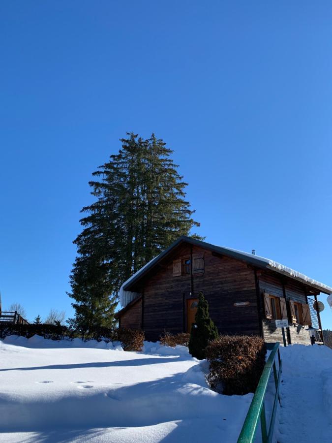 Chalet Du Bois Joli Saint-Laurent-en-Grandvaux エクステリア 写真