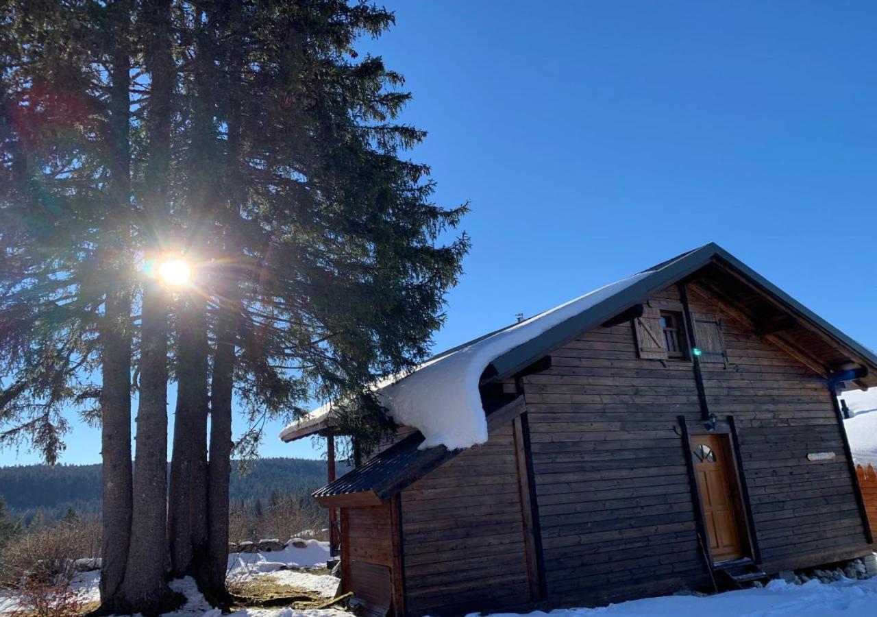Chalet Du Bois Joli Saint-Laurent-en-Grandvaux エクステリア 写真
