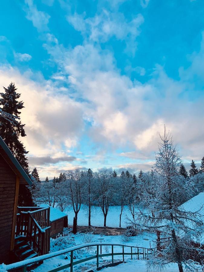 Chalet Du Bois Joli Saint-Laurent-en-Grandvaux エクステリア 写真